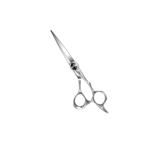 TTH60 (1).png