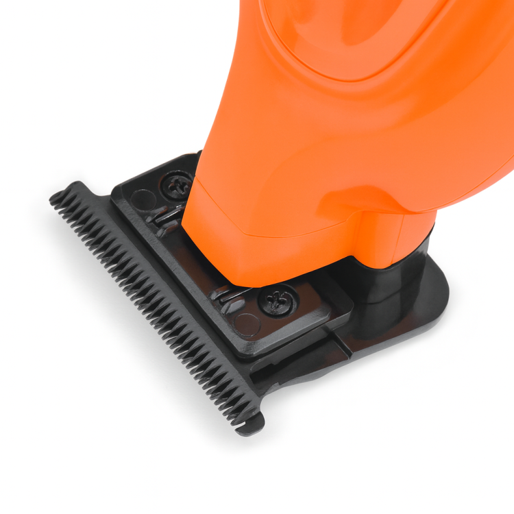 ChatGPT Image 14 sie 2025, 17_44_23.png