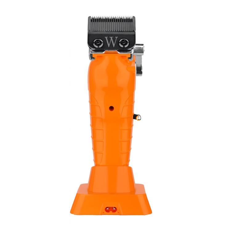ChatGPT Image 14 sie 2025, 16_17_27.png