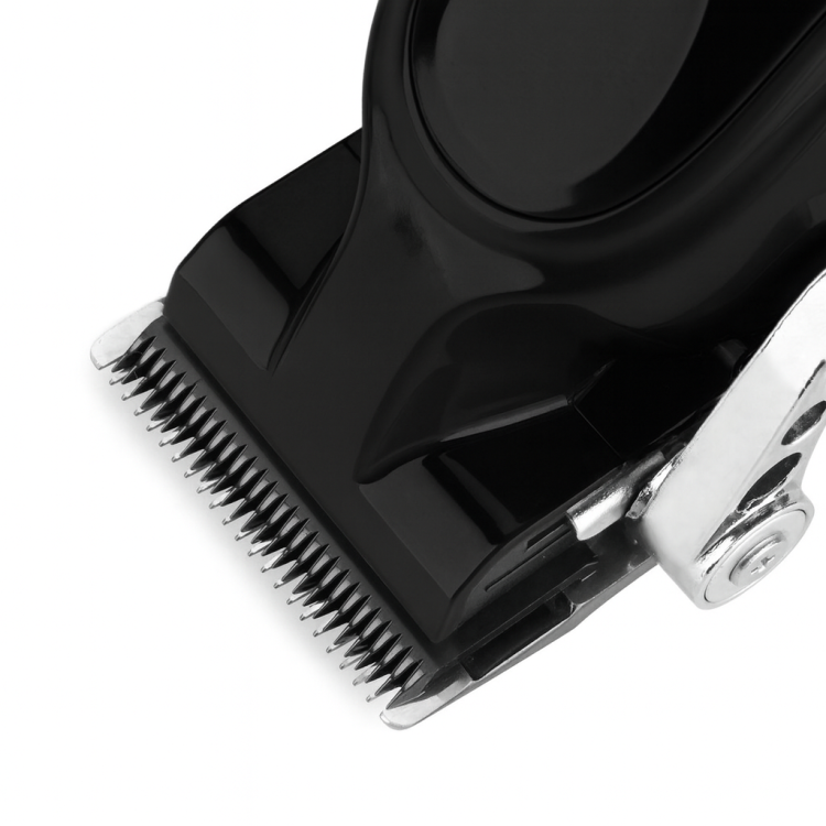 ChatGPT Image 15 sie 2025, 13_10_47.png